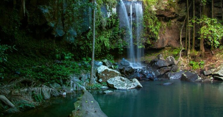 Descubre la naturaleza salvaje del Parque Nacional Soberanía – La joya natural de Panamá