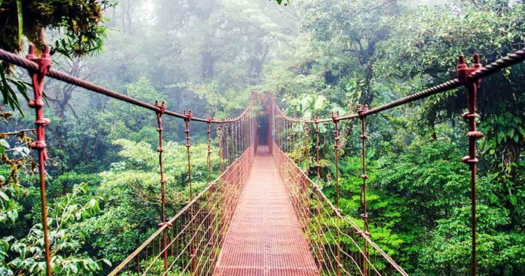 Descubre las maravillas naturales de Boquete, el destino ideal para los amantes del ecoturismo