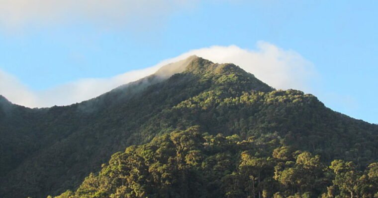 Descubre la belleza del Parque Nacional Volcán Barú en Panamá